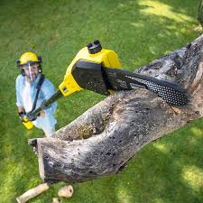 Best Lawn Irrigation Installation and Maintenance  in Moorhead, MN