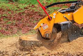 Leaf Removal in Moorhead, MN