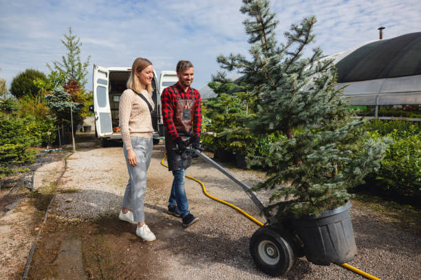 Best Storm Damage Tree Cleanup  in Moorhead, MN